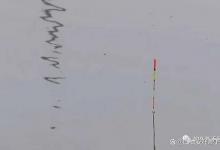 初夏钓鱼钓多深合适？