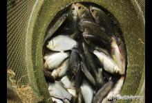 初春开竿钓鱼的技术要点