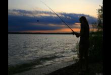 冬季钓鲤鱼调几钓几最好？