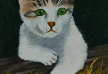 如何选择家庭饲养的宠物？