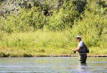春季钓大鲫鱼的方法归纳！