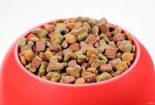 猫咪挑食怎么纠正？