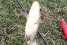 野钓选择钓位的一些经验