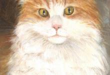 猫在中世纪社会中的象征意义和文化地位是你想象不到的！