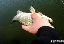 立春后钓鱼，牢记这三点