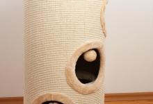 家里养猫应该常备什么东西？