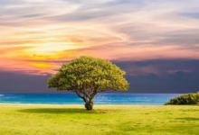 7月热还是8月热