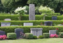 公墓期限才20年，如果墓地到期后不续费，骨灰会被挖出来扔掉吗？