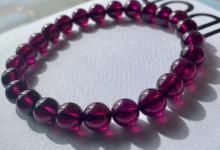 紫牙乌是紫色还是紫红色 紫牙乌什么颜色最好