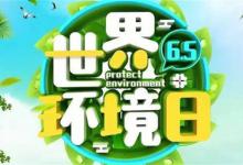 中国环境日是哪年开始实施的？