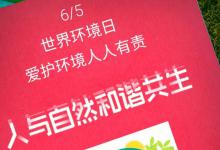 中国环境日往届活动主题设立环境日的作用？