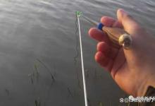 台钓为什么要压线？