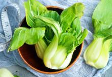 怎么做油菜好吃 脆嫩营养清炒油菜家常做法