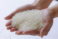 ​年轻人如何挑选“合适的米”选米应该注意哪些细节