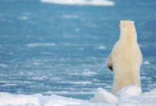 ​北冰洋或比预期前出现无冰之夏地球变暖的原因是什么