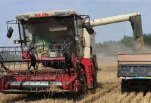 河南麦收什么时候基本结束夏播进度完成了多少