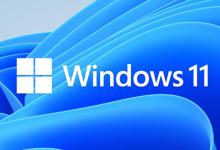 如何解决在Windows 11出现“组织在此电脑上管理更新”错误？