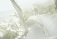 牛奶能做花肥吗 纯牛奶可以浇花做肥料吗