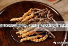 冬虫夏草怎么做好吃又简单的家常做法，冬虫夏草的吃法食用方法