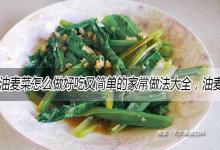 油麦菜怎么做好吃又简单的家常做法大全，油麦菜的吃法食用方法