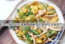 海鲜菇怎么做好吃，家常做法，海鲜菇的吃法食用方法