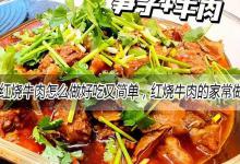 红烧牛肉怎么做好吃又简单，红烧牛肉的家常做法大全