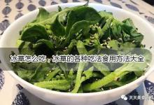 冰草怎么做好吃又简单的家常做法大全，冰草的吃法食用方法