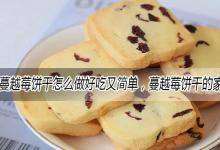 蔓越莓饼干怎么做好吃又简单，蔓越莓饼干的家常做法大全