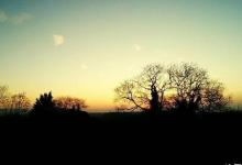 《菜根谭》：在经历中体悟，在苦难中获得