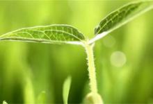 雨水节气如何养生雨水节养生注意什么