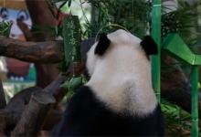 国宝“体验”端午文化有哪些影响