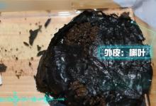 河南考古发现距今2000多年的粽子说明了什么