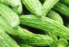 苦瓜的储存方法苦瓜有什么功效