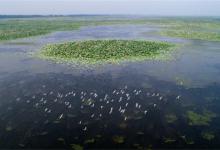 全国生态日拟定有哪些意义