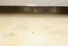 清水拖地等于白拖，教你简单一招，地面持久不落灰，我也才学会