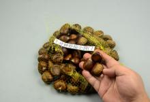 新鲜板栗很难保存？教你一招，这样放一年也新鲜，一点都不变质