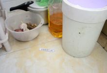 家里有蚂蚁不用开水不用药，只需撒一把，蚂蚁通通灭光，都试试