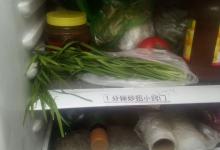 韭菜插进塑料瓶，厉害了，可惜我也是今天才学会的，看完回家试试