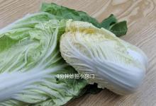 同样是白菜，绿叶和黄叶和有什么不同？菜农：别瞎买了