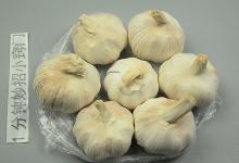 原来保存大蒜这么简单，教你一个技巧，不干不坏，存放一年都新鲜