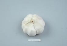 扔大蒜皮就是扔钱，这个作用拿钱都难买，幸好知道的及时，快看看