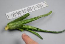 芦荟的4大妙用，别再白白浪费了，学到就是赚到