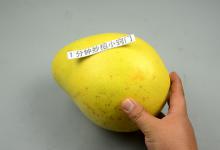 今天才知道，剥柚子皮这么简单，剥完不脏手不流汁，方法太棒了
