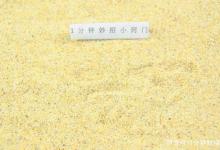 夏天去海边玩几个超赞的小技巧，可以去海边玩个爽啦！