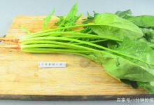 焯菠菜时，菠菜水要留下来，放在厨房很实用
