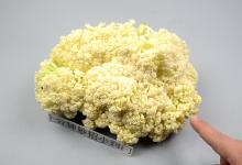 洗花菜千万别用清水洗，等于吃虫卵，教你清洗妙招，脏东西都跑光