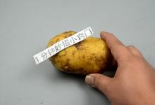 今天才发现，保存土豆这么简单，不发芽不腐烂，放一年都不烂