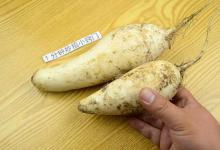 保存白萝卜时，放地上就错了，教你一招，放上一冬天都是新鲜的