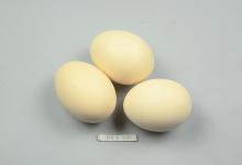 教你懒人荷包蛋做法，不放一滴水，既简单又好吃，看一遍就能学会