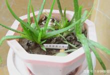 家里水费翻倍交？教你省水妙招，让你节省很多水费